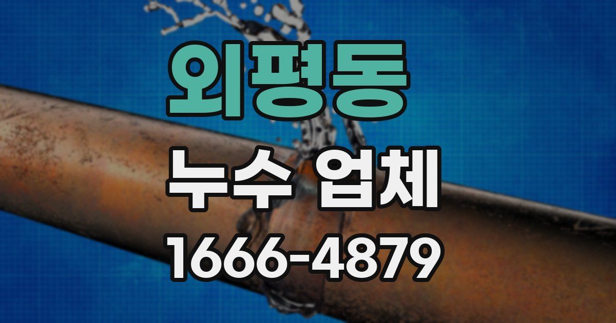 외평동 누수 업체