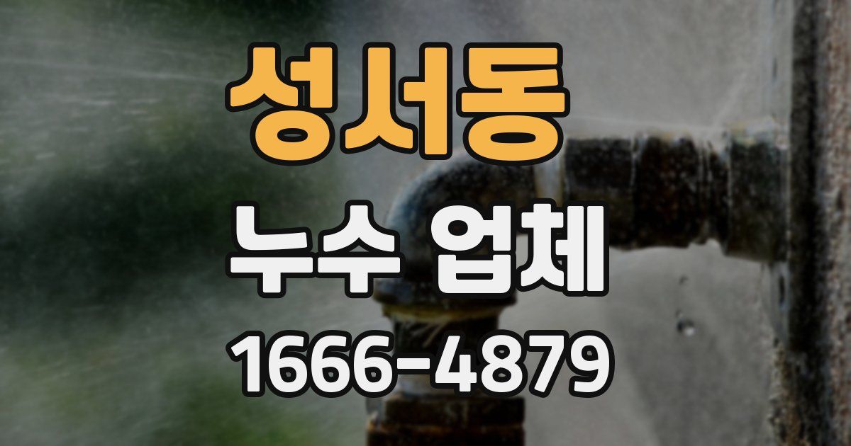 성서동 누수 업체