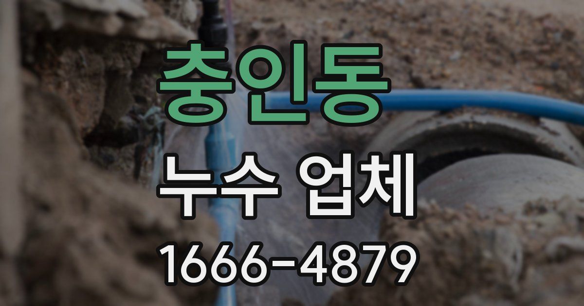 충인동 누수 업체