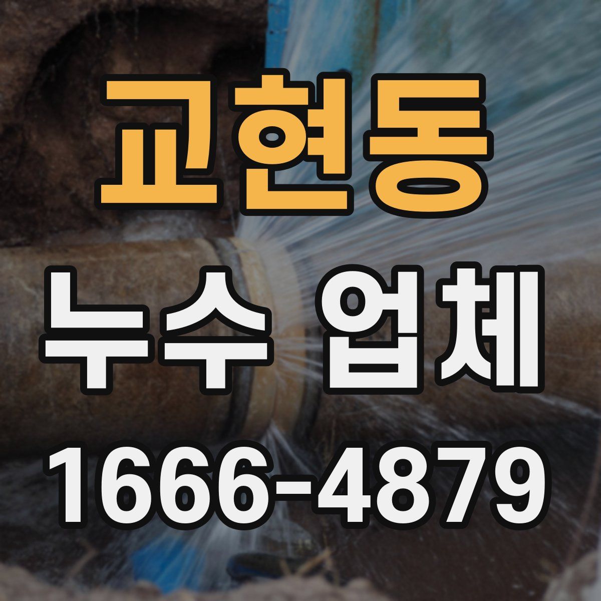 교현동 누수 업체