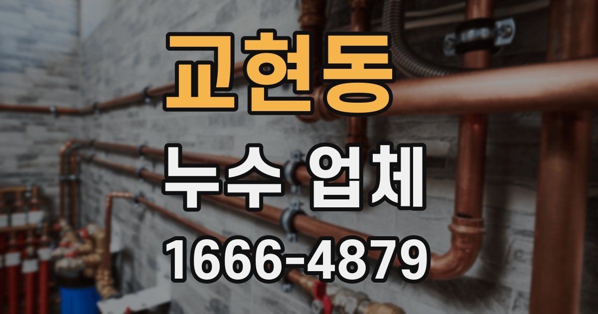 교현동 누수 업체