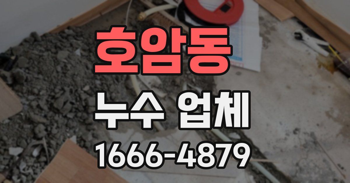 호암동 누수 업체