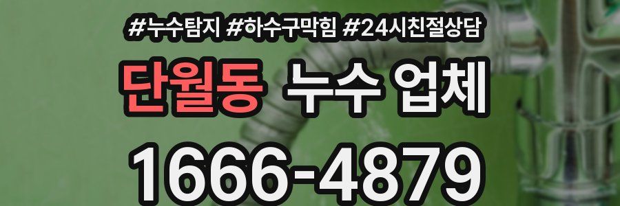 단월동 누수 업체