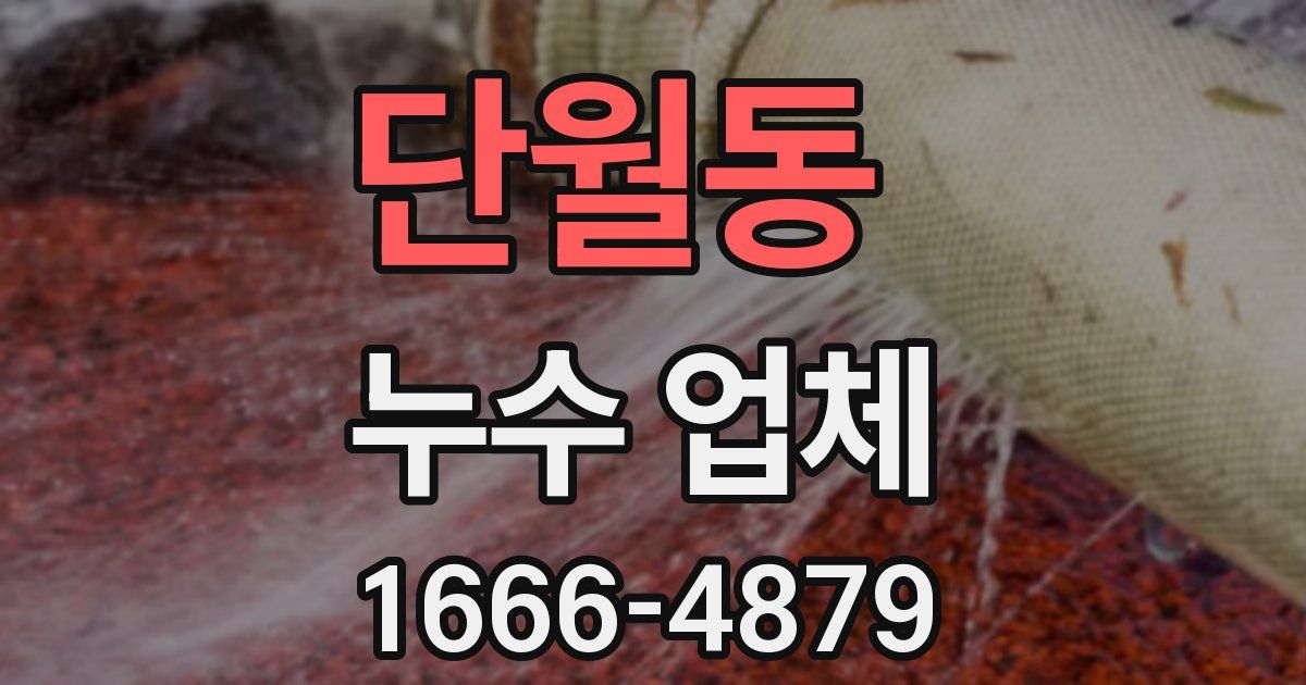 단월동 누수 업체