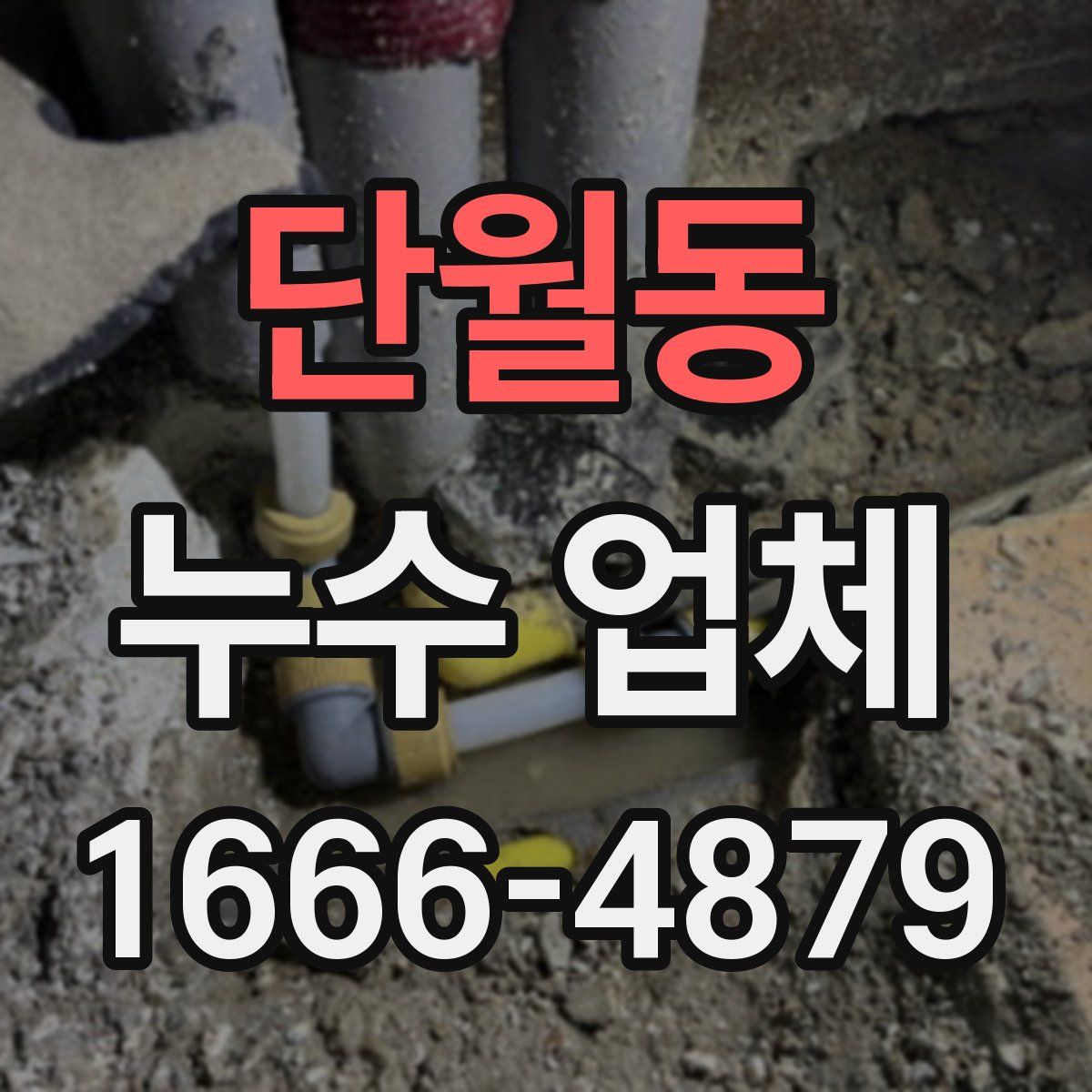 단월동 누수 업체