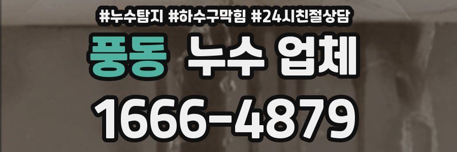 풍동 누수 업체