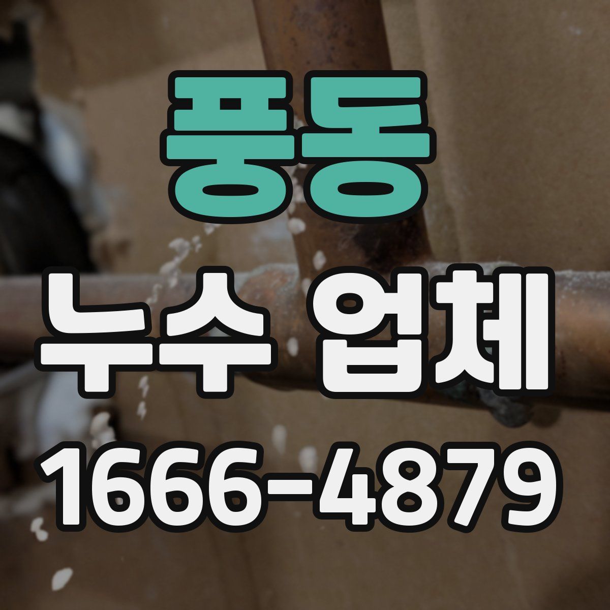 풍동 누수 업체