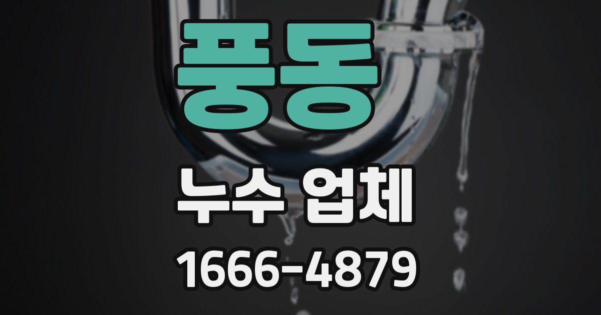 풍동 누수 업체