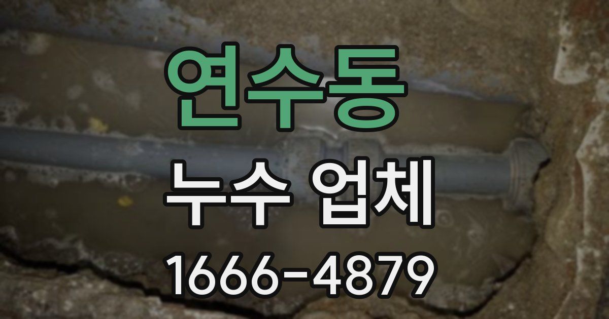 연수동 누수 업체