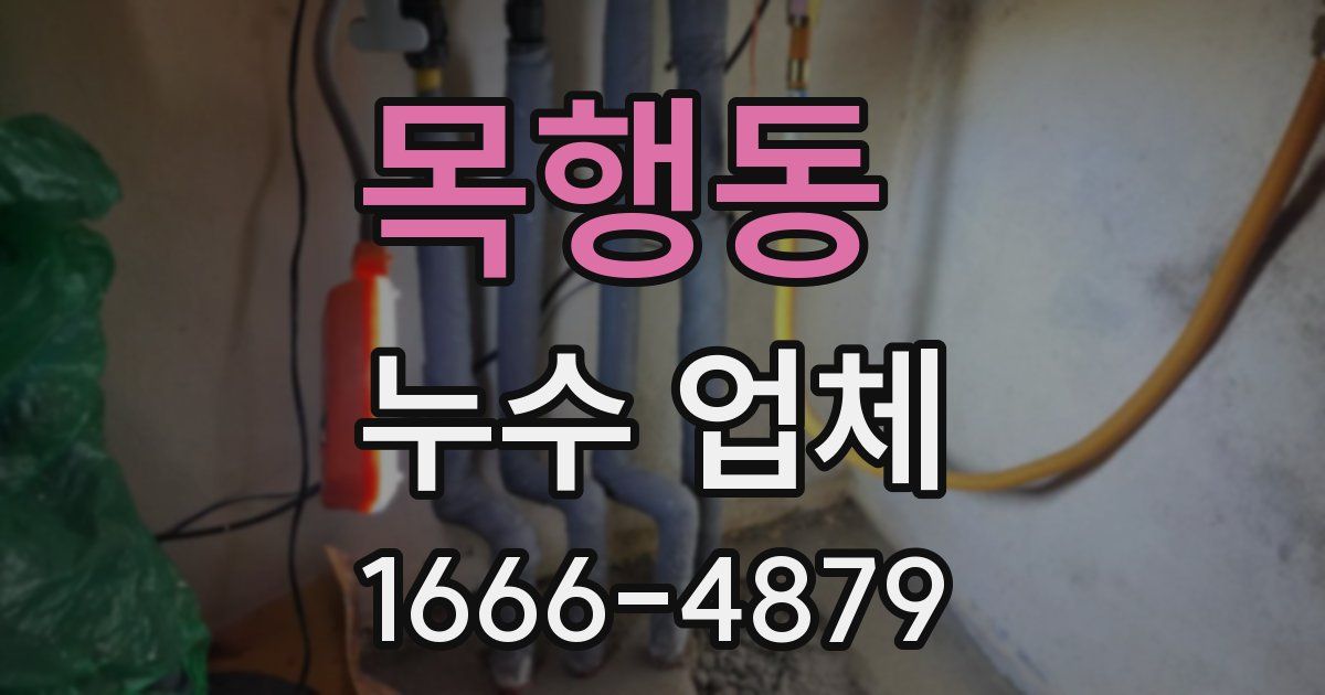 목행동 누수 업체
