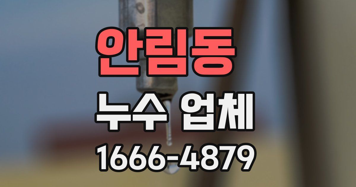 안림동 누수 업체