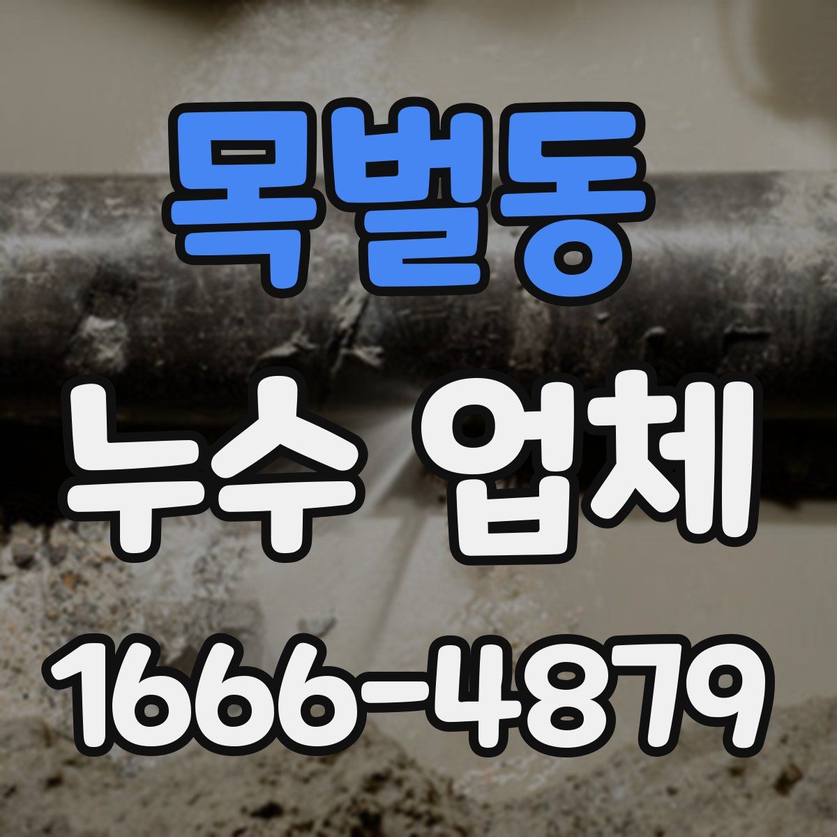 목벌동 누수 업체