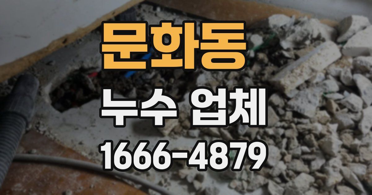 문화동 누수 업체