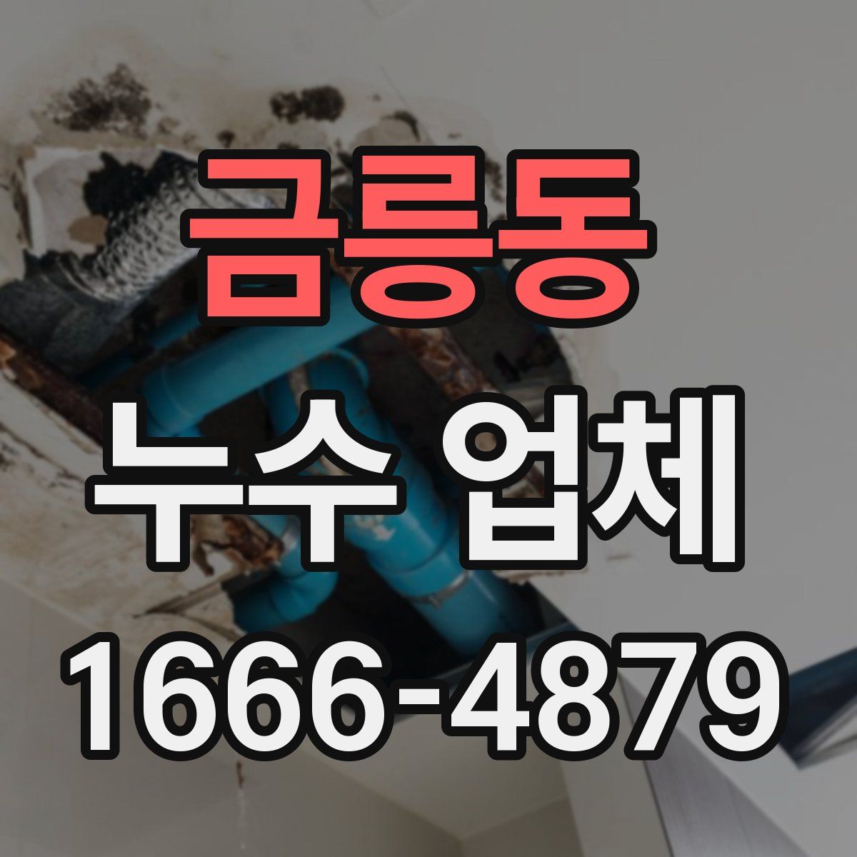 금릉동 누수 업체