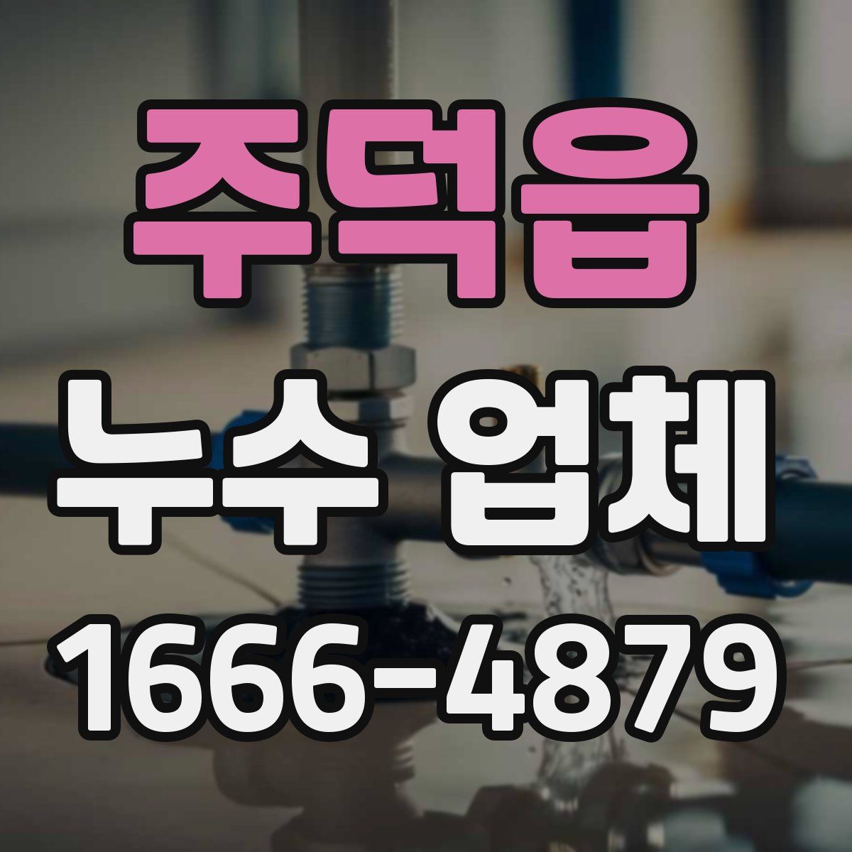 주덕읍 누수 업체