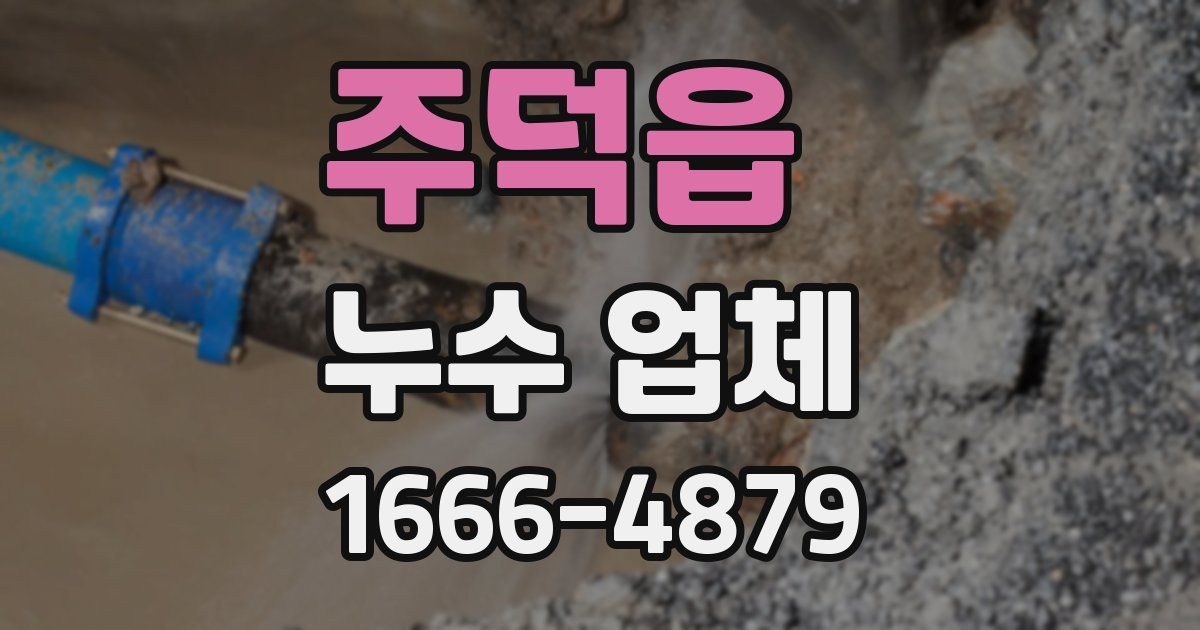 주덕읍 누수 업체