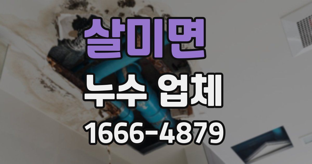 살미면 누수 업체