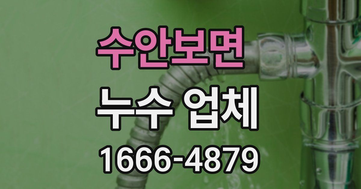 수안보면 누수 업체