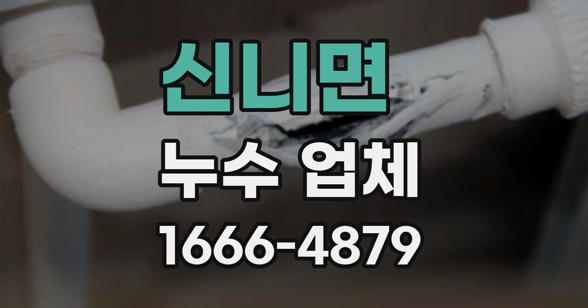 신니면 누수 업체
