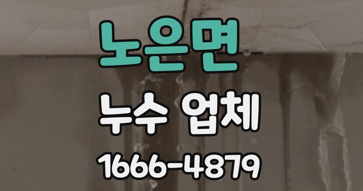 노은면 누수 업체
