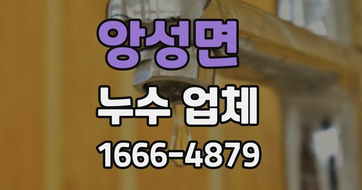 앙성면 누수 업체
