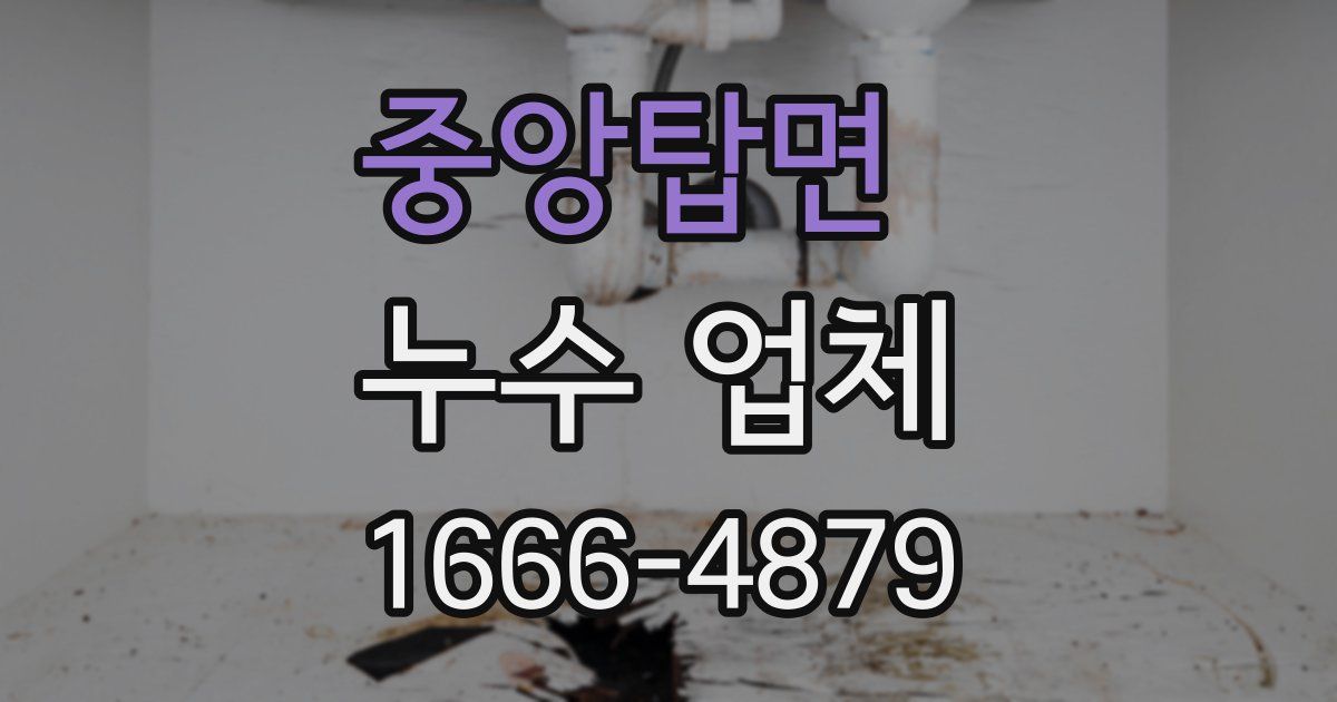 중앙탑면 누수 업체