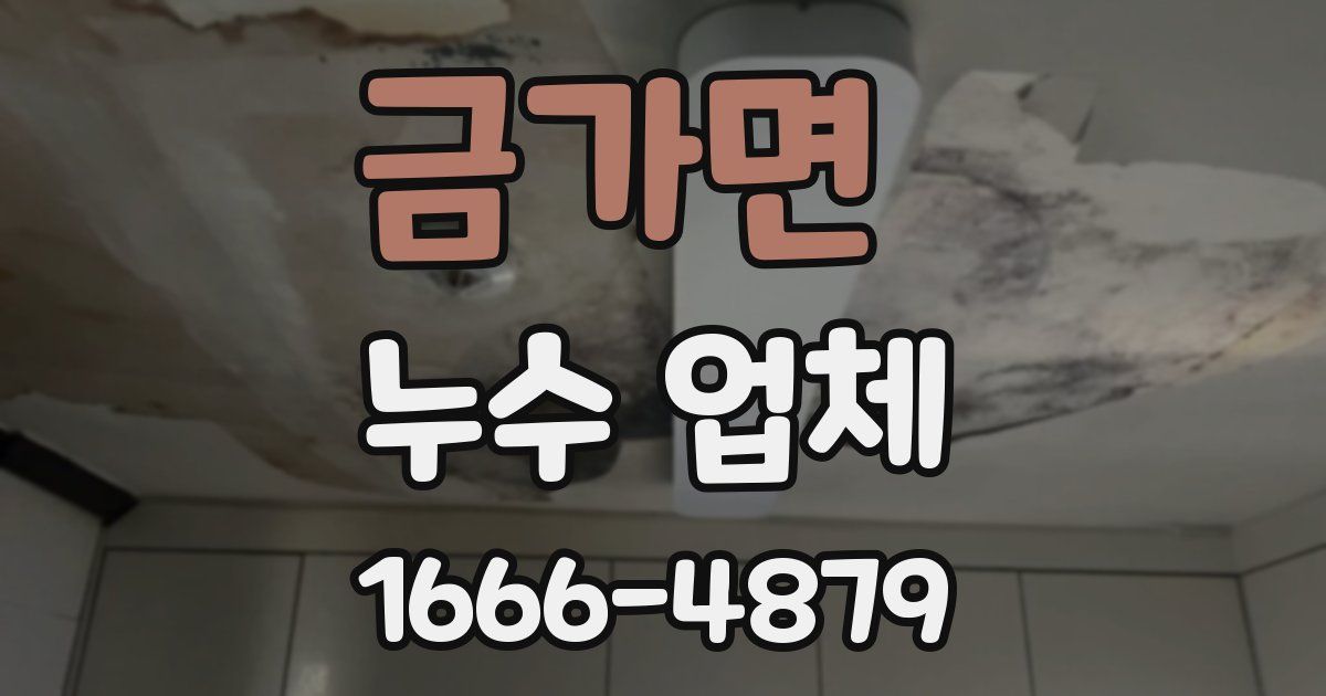금가면 누수 업체