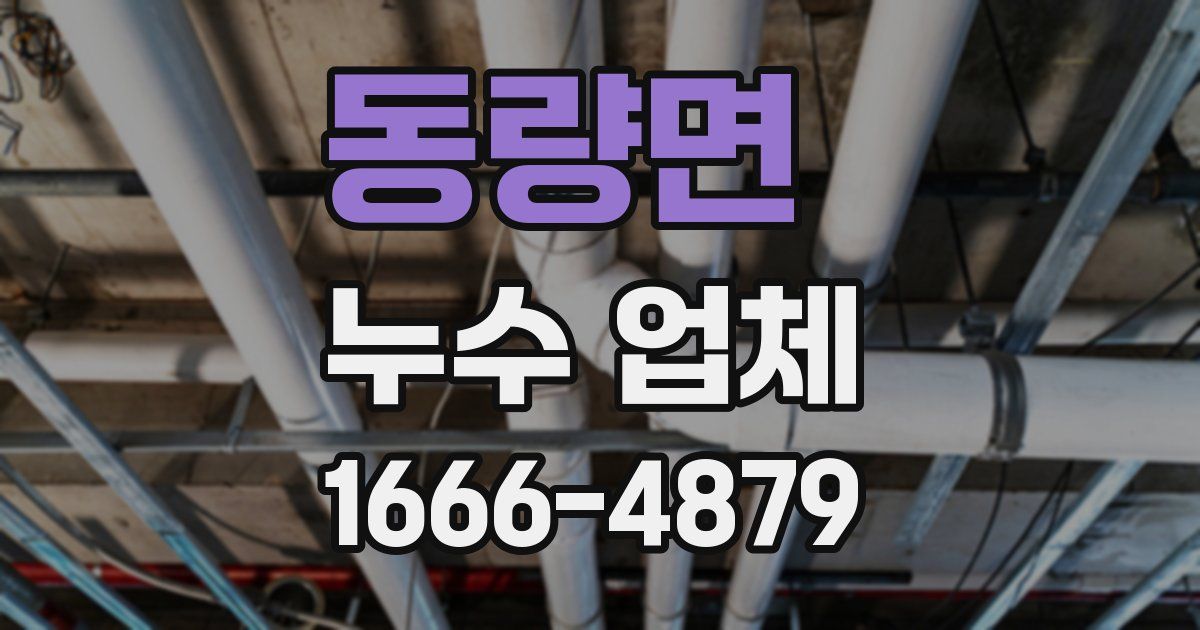 동량면 누수 업체