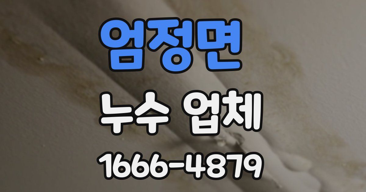 엄정면 누수 업체