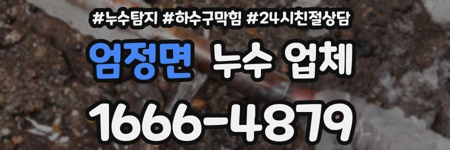 엄정면 누수 업체