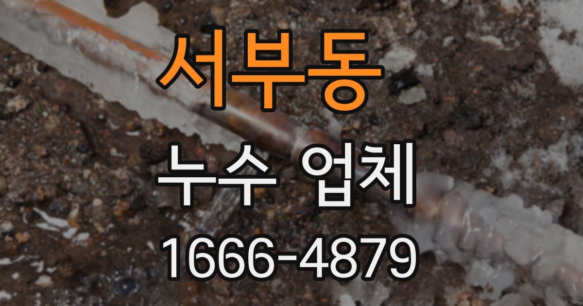 서부동 누수 업체