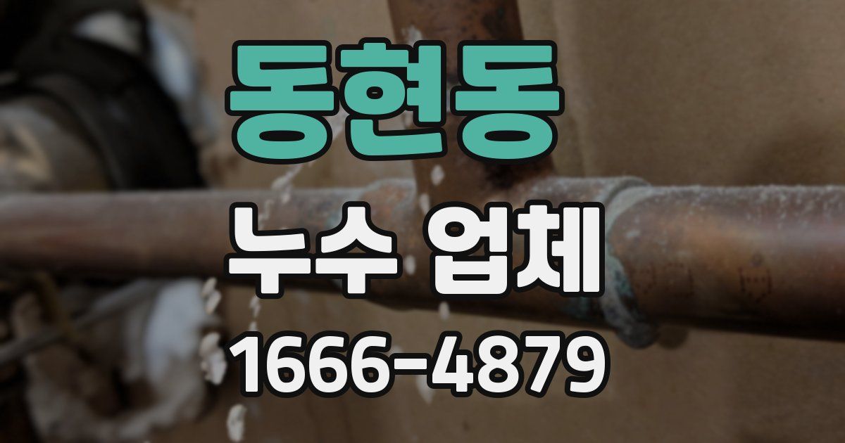 동현동 누수 업체