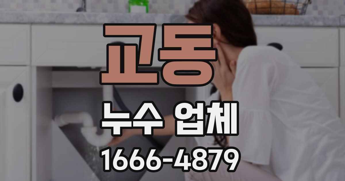 교동 누수 업체