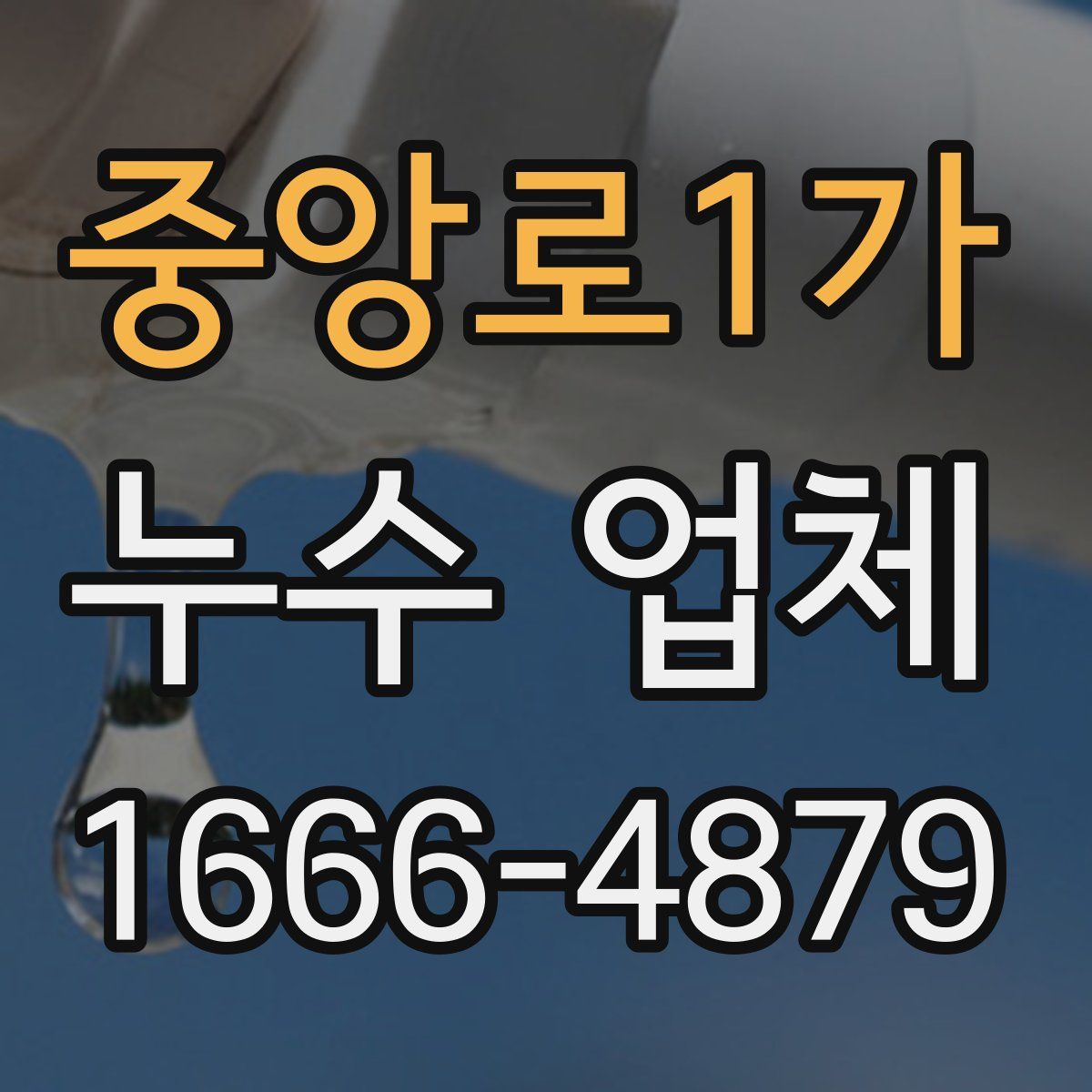 중앙로1가 누수 업체