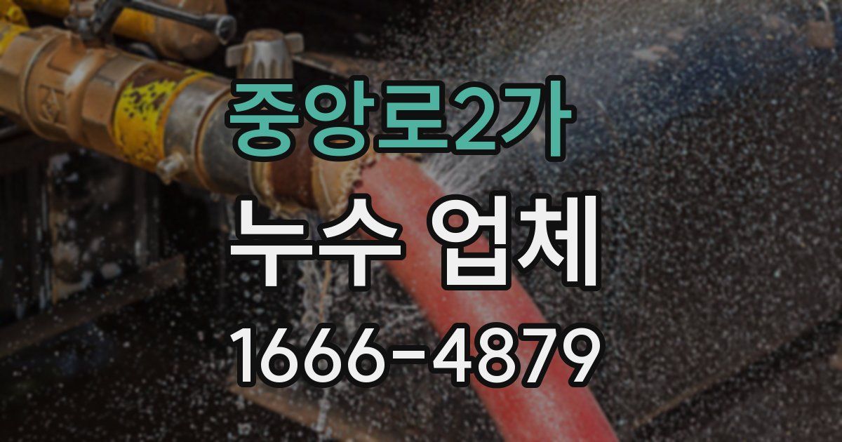 중앙로2가 누수 업체