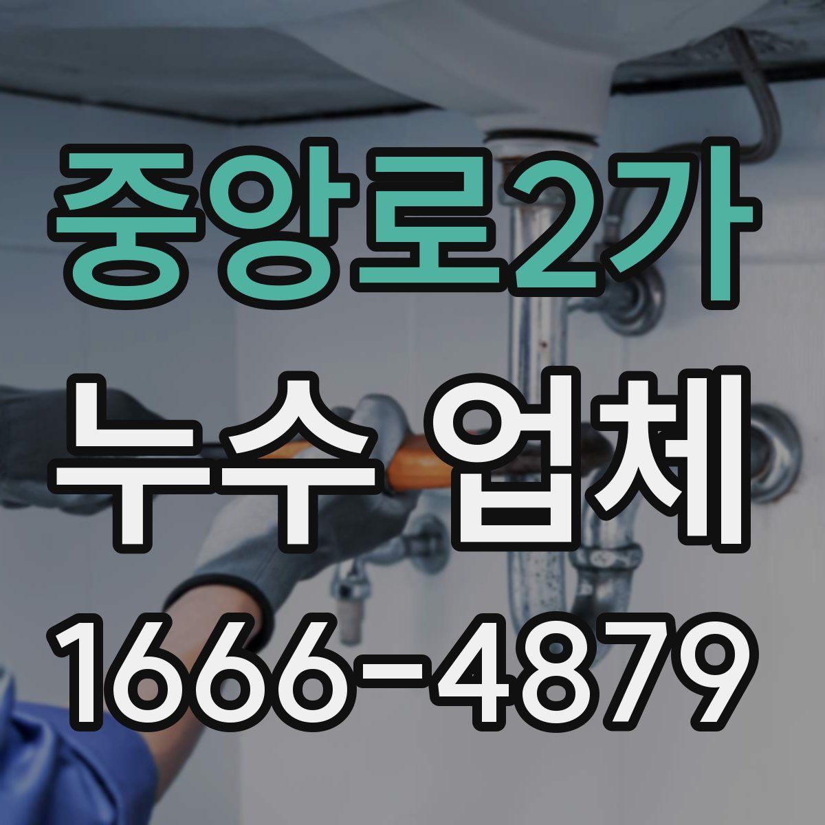 중앙로2가 누수 업체