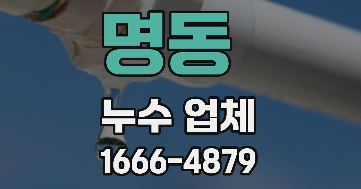명동 누수 업체
