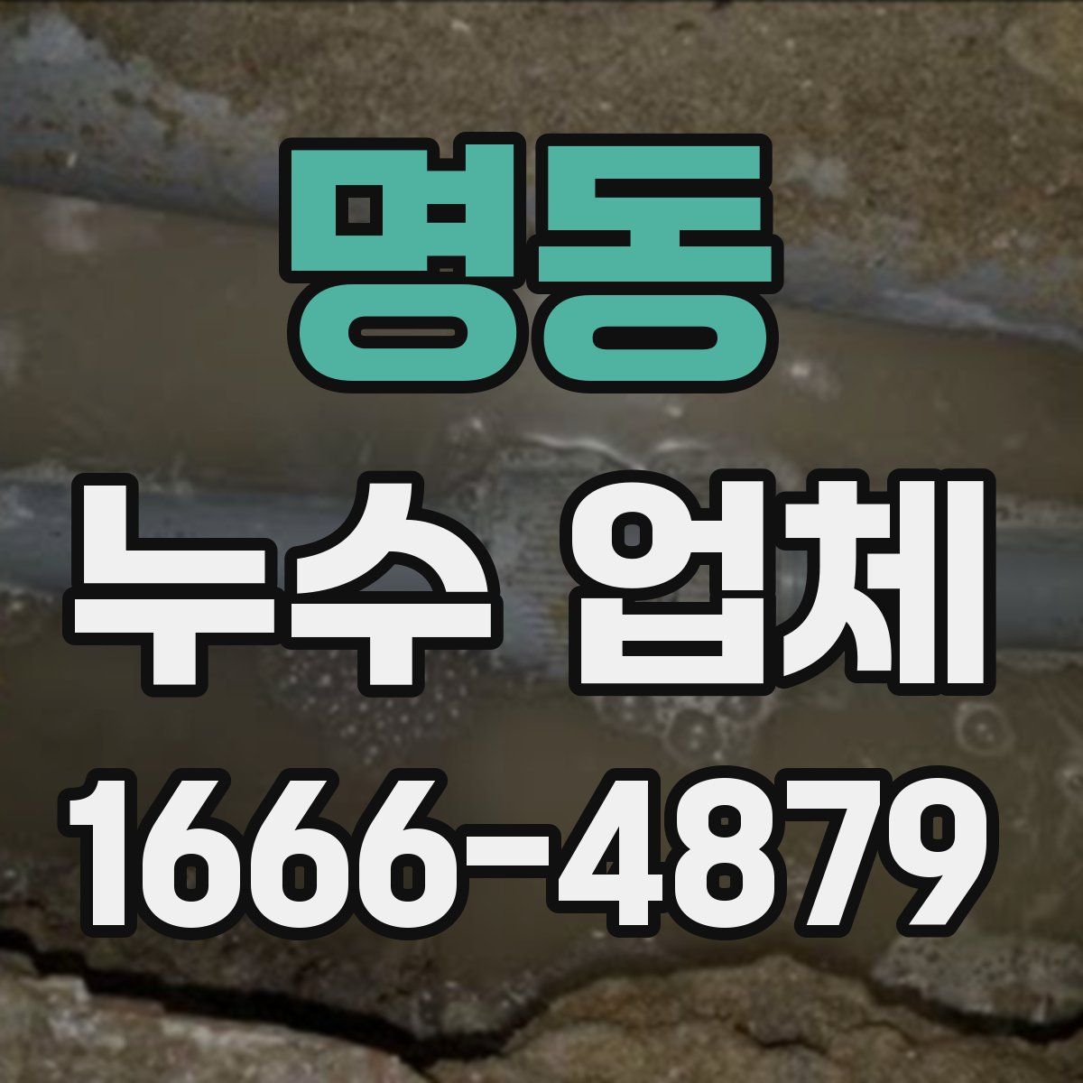 명동 누수 업체