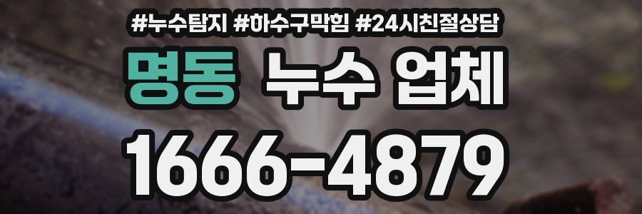 명동 누수 업체