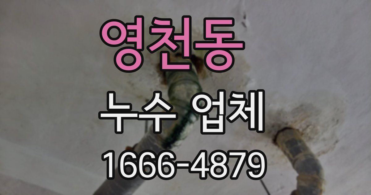 영천동 누수 업체
