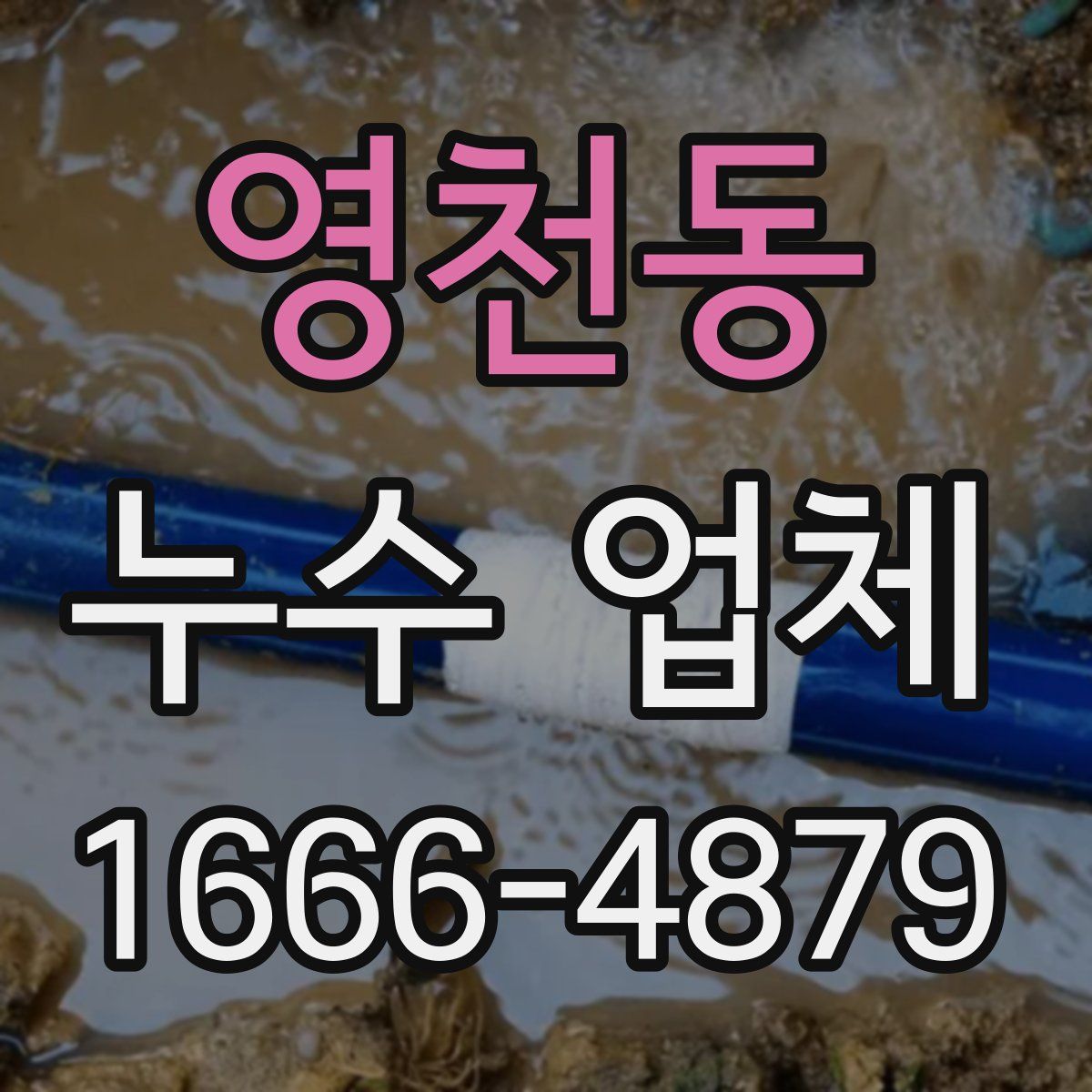 영천동 누수 업체