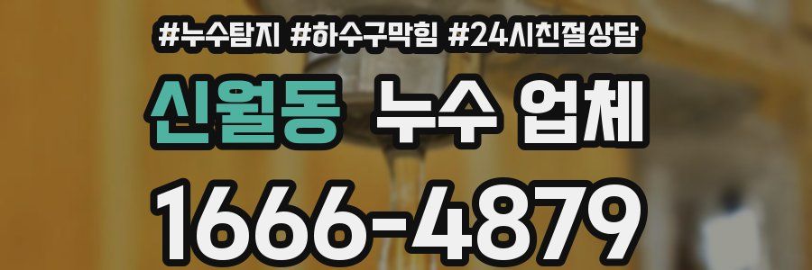신월동 누수 업체