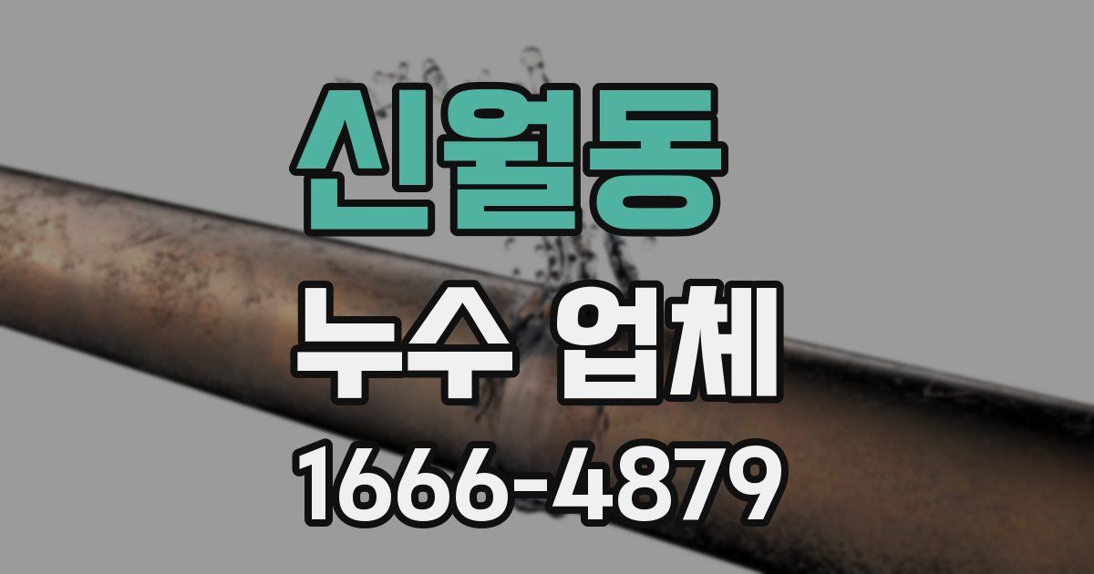 신월동 누수 업체