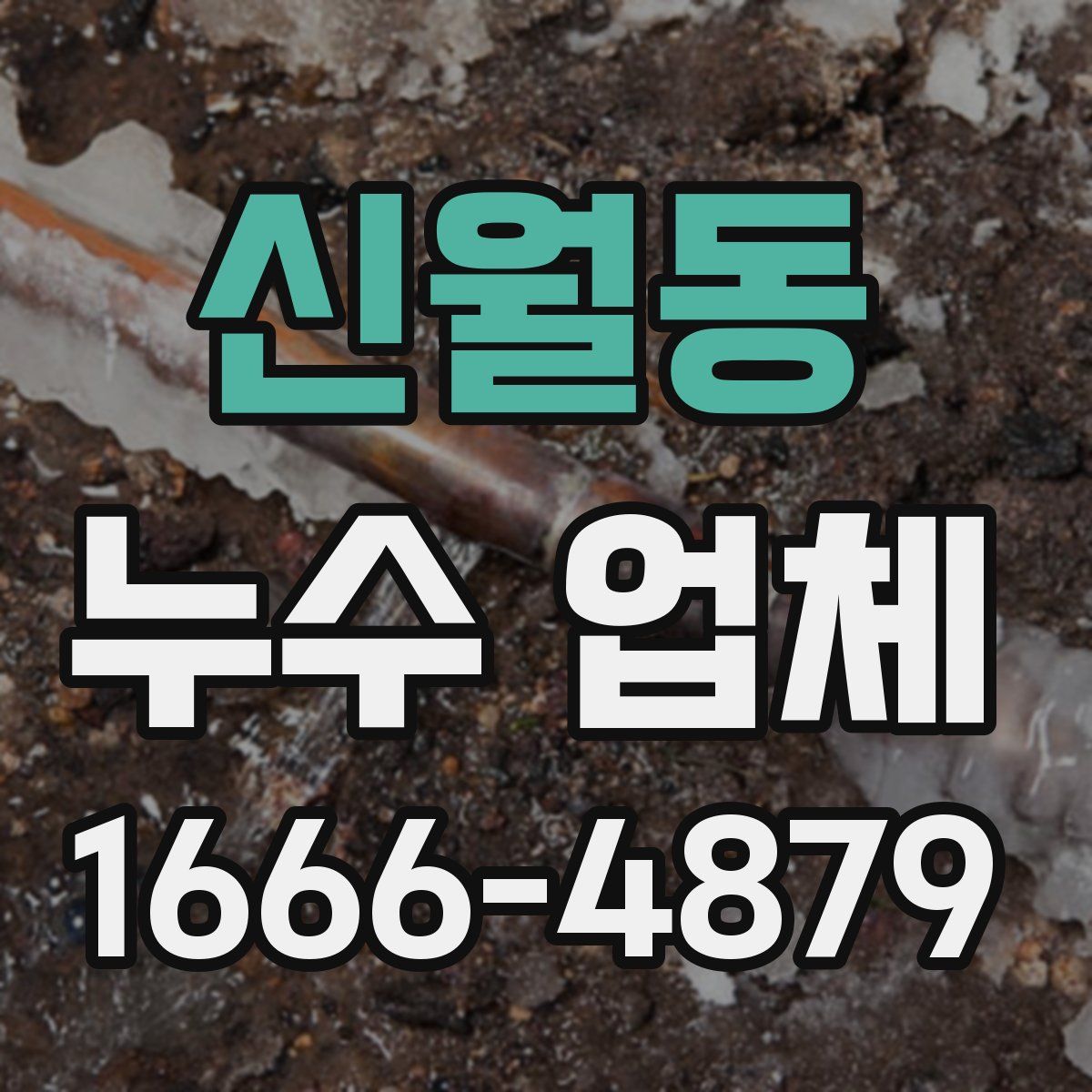 신월동 누수 업체