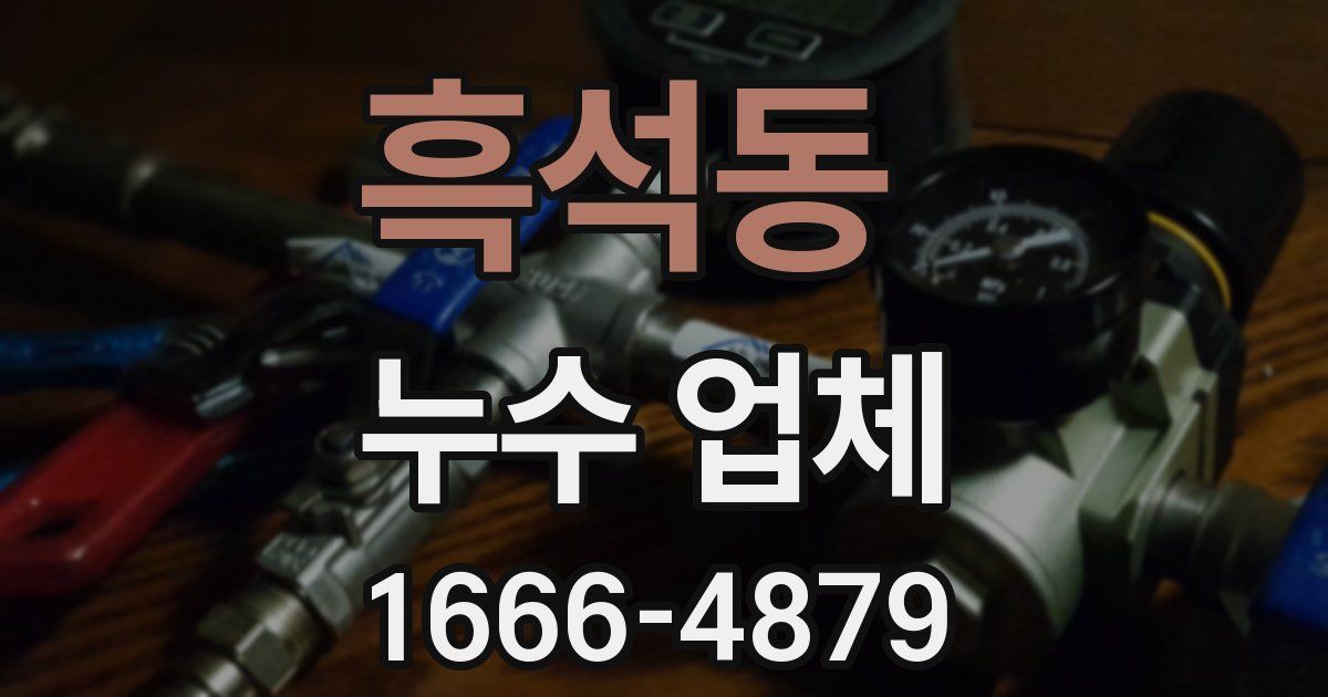 흑석동 누수 업체