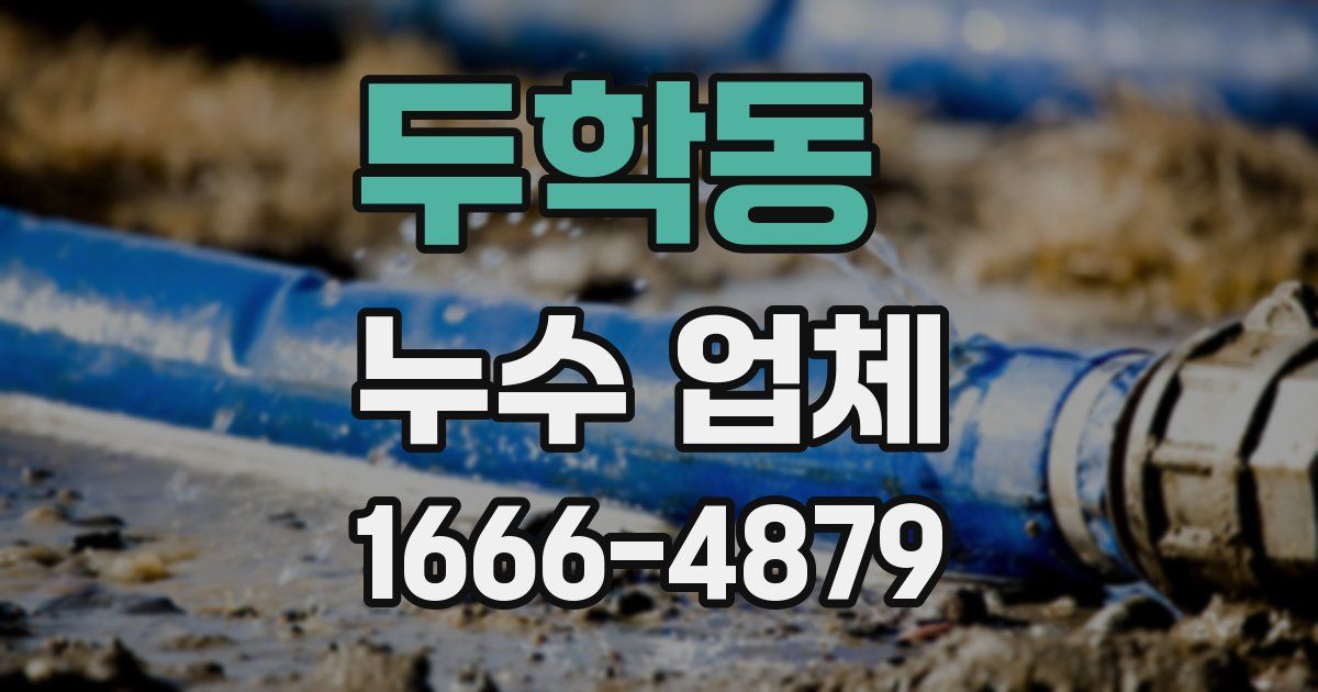 두학동 누수 업체