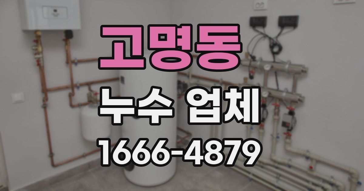 고명동 누수 업체
