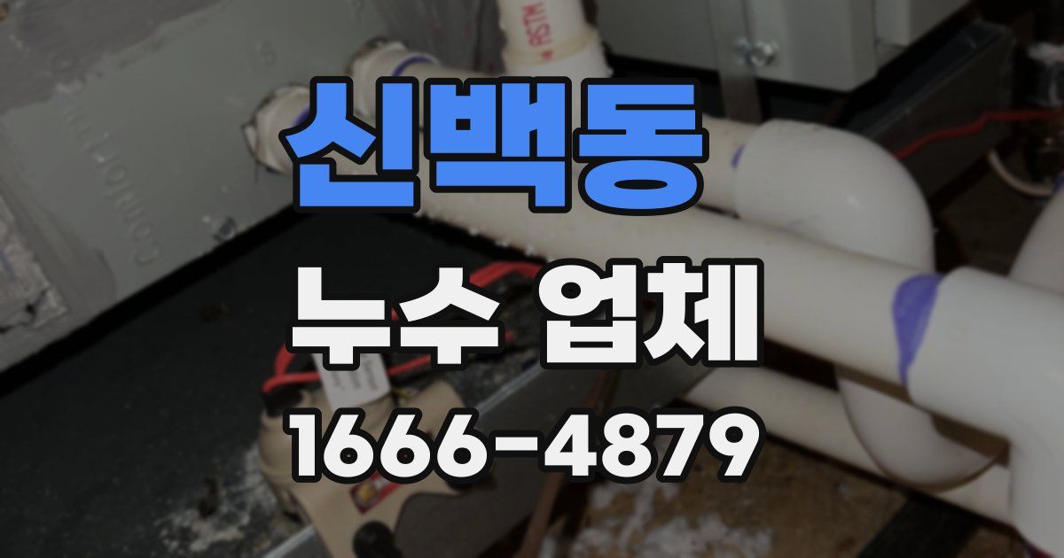 신백동 누수 업체