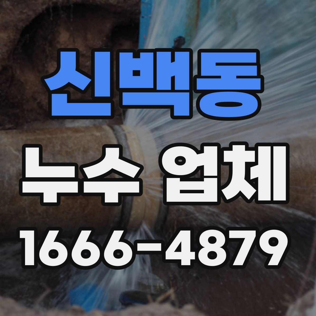 신백동 누수 업체