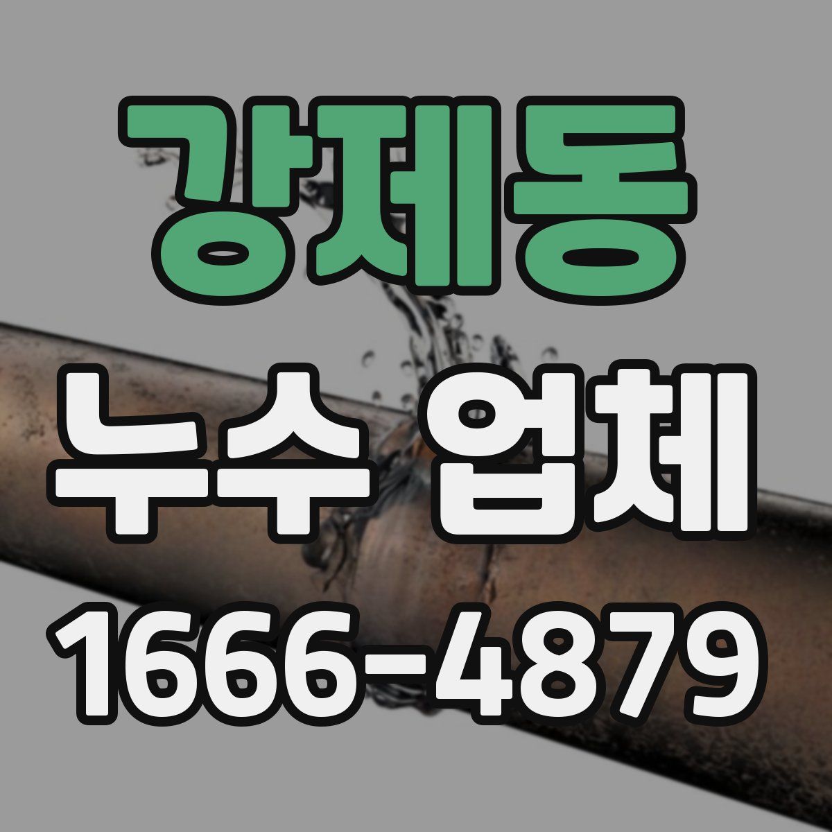 강제동 누수 업체